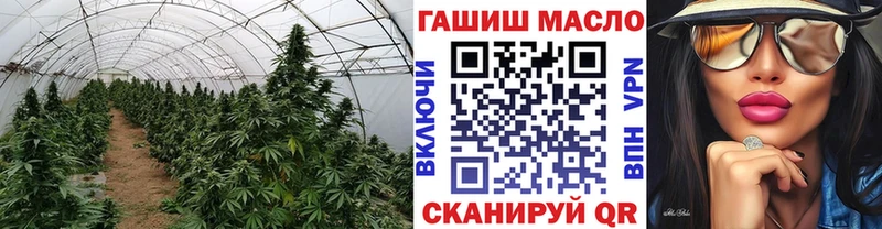 shop официальный сайт  Белебей  ТГК Wax 