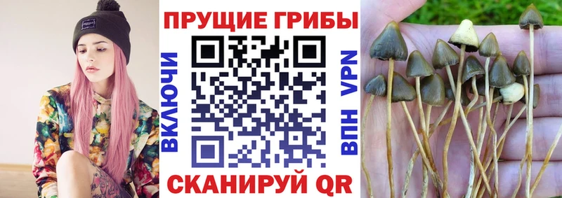 mega   где продают   Белебей  Псилоцибиновые грибы MAGIC MUSHROOMS 